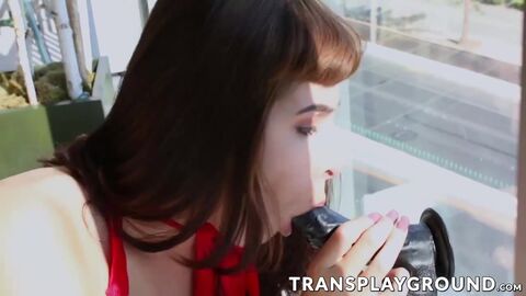 HD видео, Ladyboy (транссексуал), мастурбация (транссексуал), секс игрушка (транссексуал), соло (транссексуал), транссексуал порно (транссексуал)