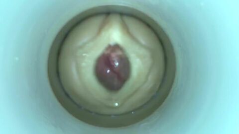 HD видео, азиат (гей), большой член (гей), любитель (гей), мастурбация (гей), мужчина (гей)