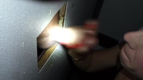 HD видео, брюнетка, дыра славы, любительское, мастурбирует, минет